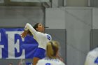 Wheaton Women's Volleyball  Wheaton Women's Volleyball vs Bridgewater State University. : Wheaton, Volleyball, BSU, Bridgewater State College